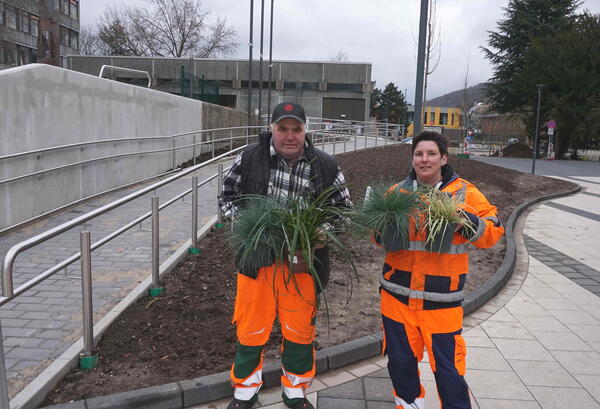 Sandra Lindner und Peter Quambusch zeigen die Gräser, die sie vor dem Gevelsberger Rathaus pflanzen werden. 