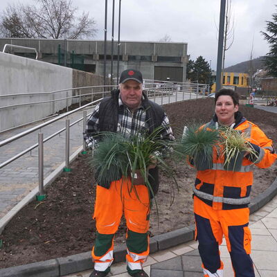 Sandra Lindner und Peter Quambusch zeigen die Gräser, die sie vor dem Gevelsberger Rathaus pflanzen werden. 