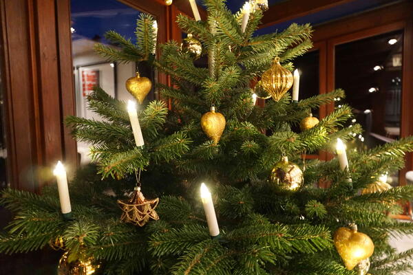 Auch der schönste Weihnachtsbaum hat einmal ausgedient. Dann kann er im Ennepe-Ruhr-Kreis wenigstens noch Strom spenden.